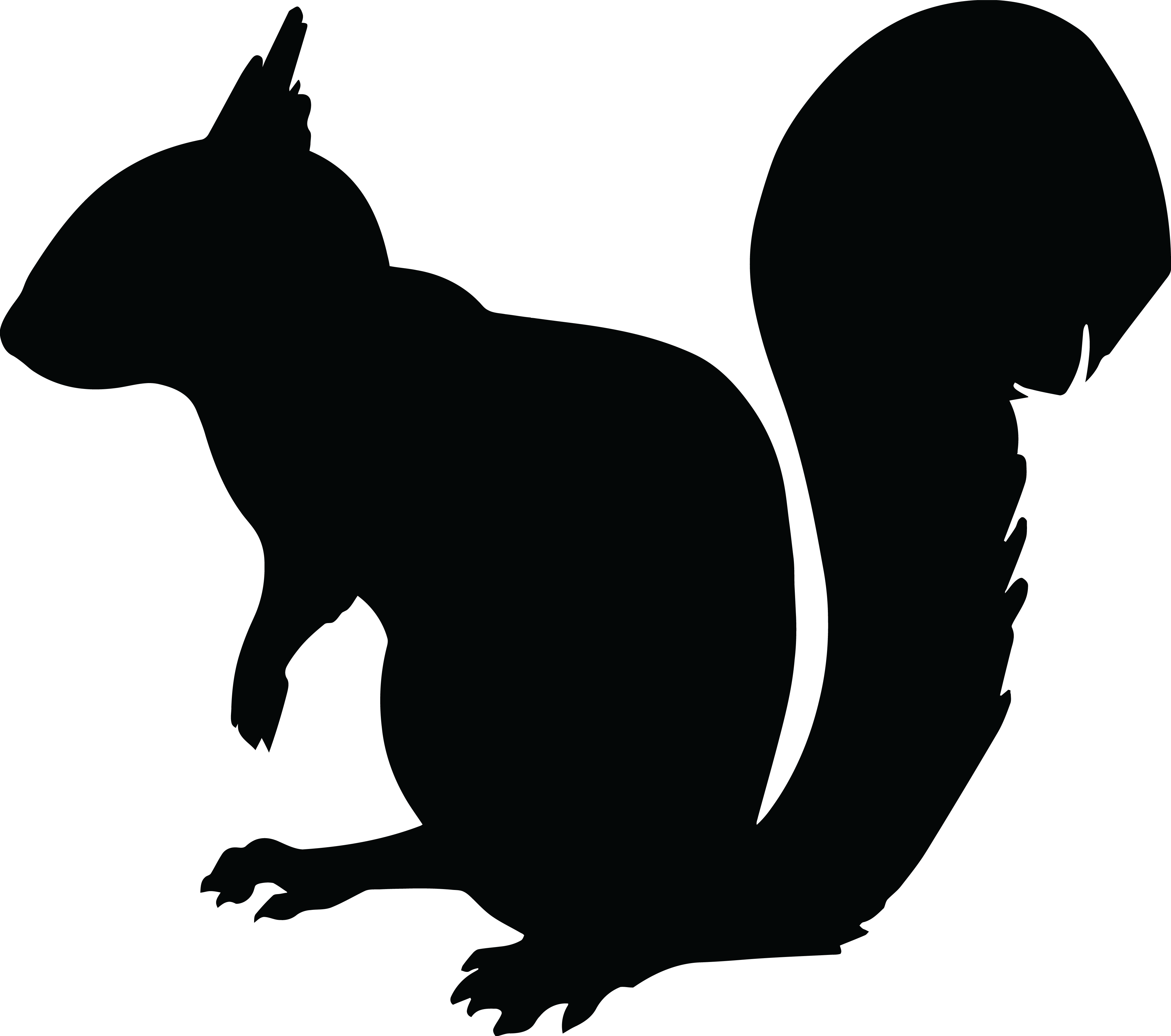 Clipart - Squirrel Silhouette Png (4000x3540)