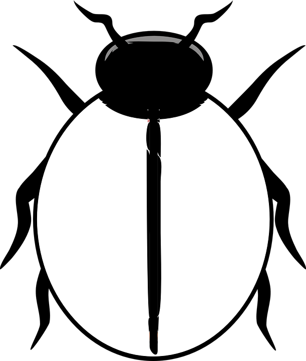 Ladybug Clipart Blank - Black And White Ladybird (611x720)