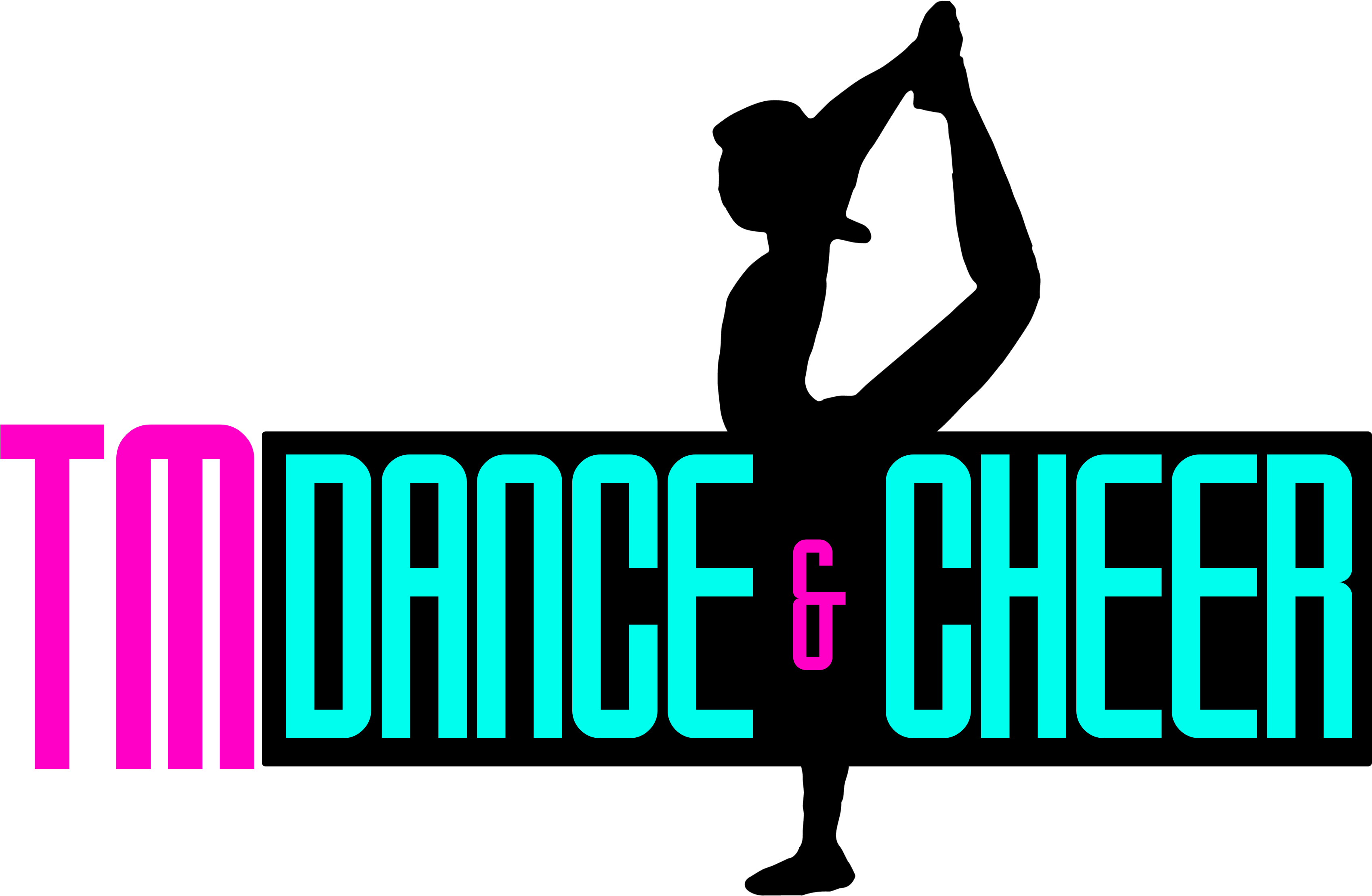 Tm Dance & Cheer Consulting, Inc - Tm Dance & Cheer (tmdc) (3600x2550)