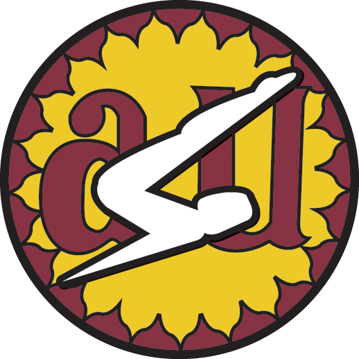 Asu Men's Gymnastics - Asu Men's Gymnastics (518x518)