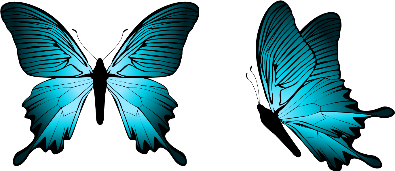 Blue Butterfly Clipart Png Clipartxtras - Png Butterfly Blue (1425x645)