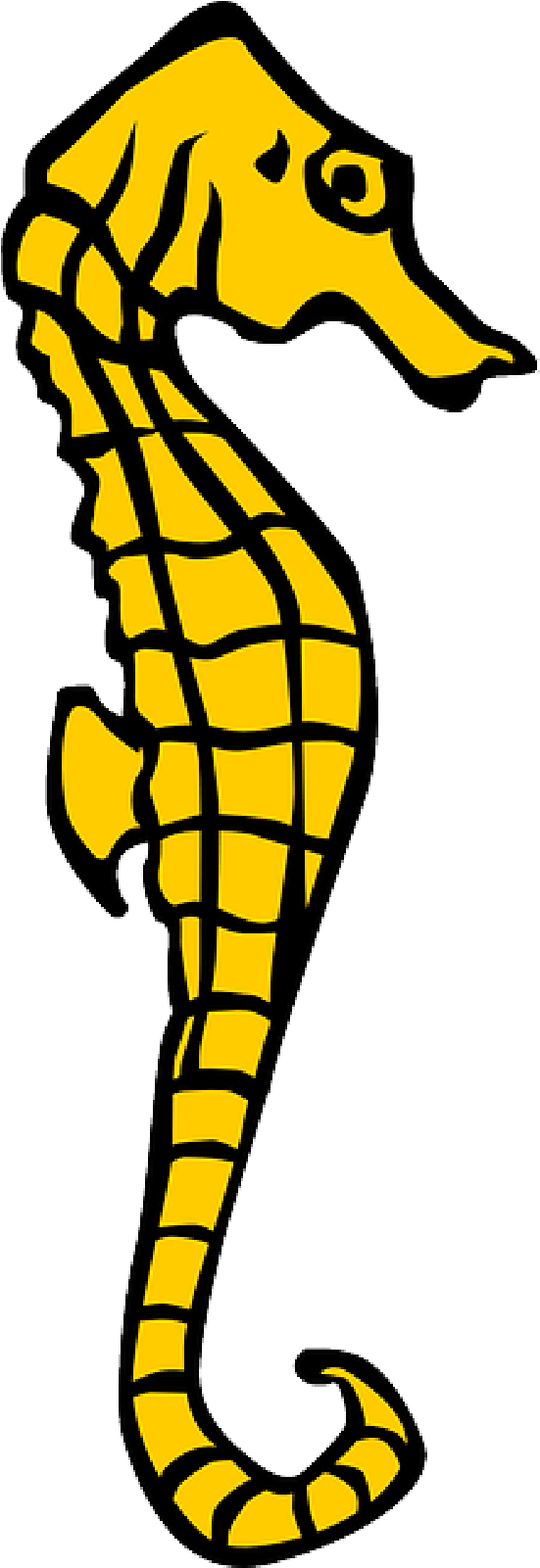 Seahorse, Yellow, Heraldry, Ocean, Marine, Sea - Seahorse Clipart (800x1600)