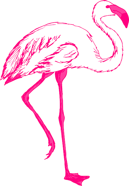 Outline, Pink, Bird, Wings, Art, Flamingo, Long, Animal - Flamingo Clipart (444x640)