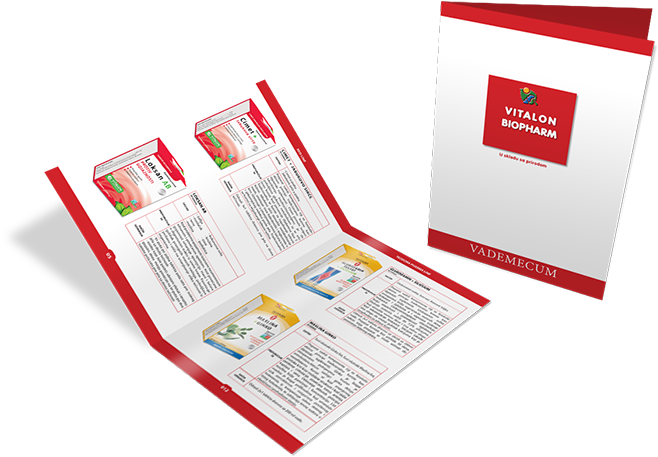 Catalog A4 8 Pages - Catalog A4 (700x549)