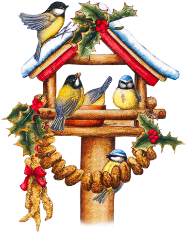 Album - Christmas Birds On A Bird House Clip Art (409x500)