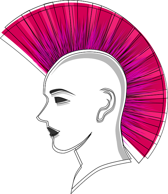 Man, Person, Face, Boy, Mohawk, Pink, Punk - Mohawk Clipart (554x640)