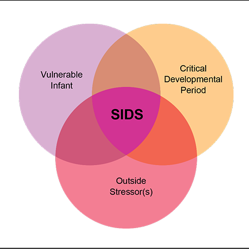 The Triple-risk Model For Understanding Sids Deaths - Sids Triple Risk Model (500x500)