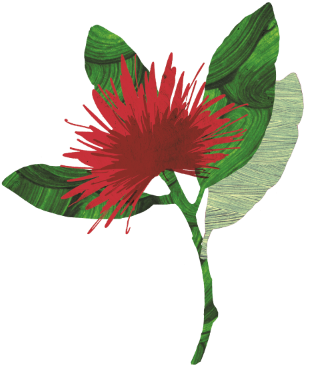 Rata Trees, Along With The Pohutukawa, Are One Of The - Hawaiian Hibiscus (320x380)