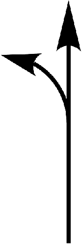 Mass - Diagram (250x500)