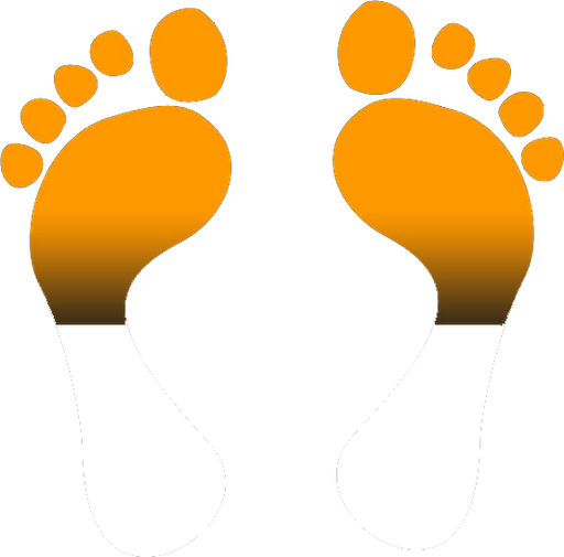 Flexing The Ankles Forward Instead Of Up And Down - Footprint (512x505)