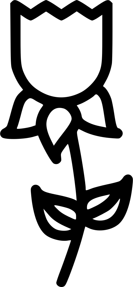 Rose Flower Nature Spring Plant Ecology Comments - Rose (456x980)