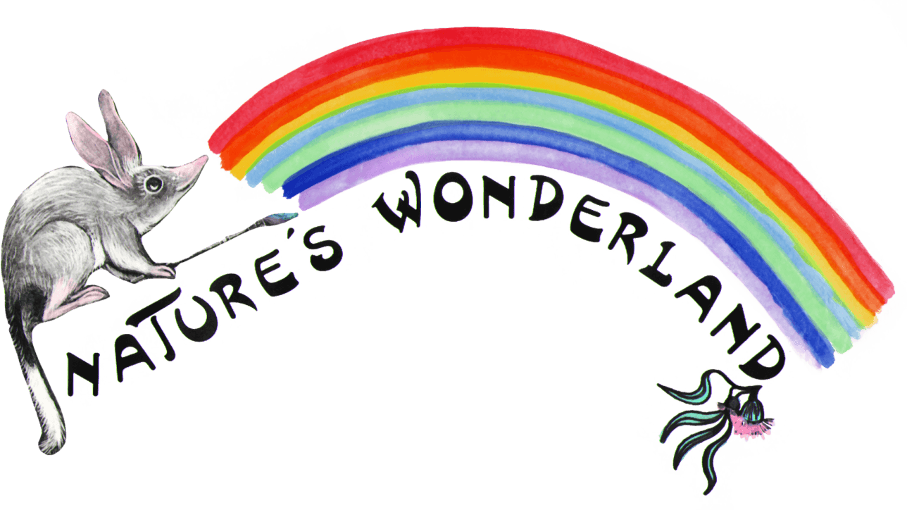 Let's Start At The Very Beginning - Swamp Rabbit (1288x724)