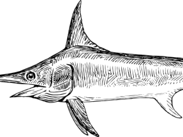 Swordfish Clipart - Swordfish (640x480)