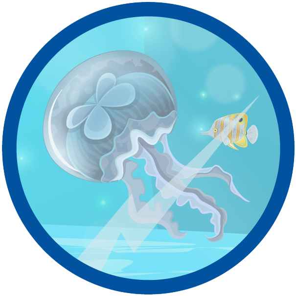 Animals - Sea History (605x605)