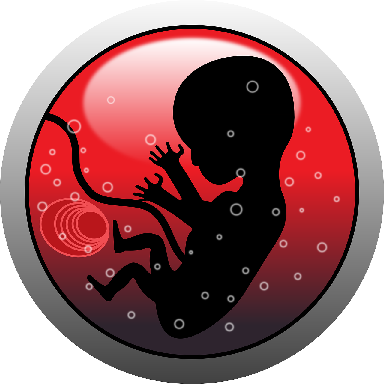 Embryo Human Infant - Baby On Board 60" Curtains (1280x1280)