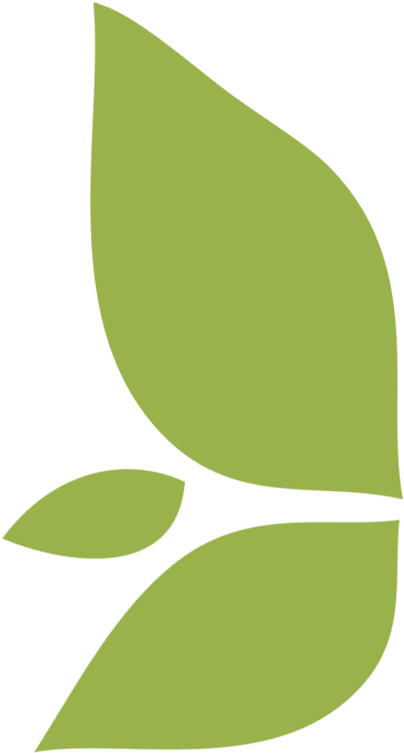 Leaf Icon City Ma - Maid (700x700)