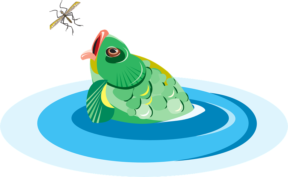 Collection Of Fish Walking Cliparts - Eating (960x591)