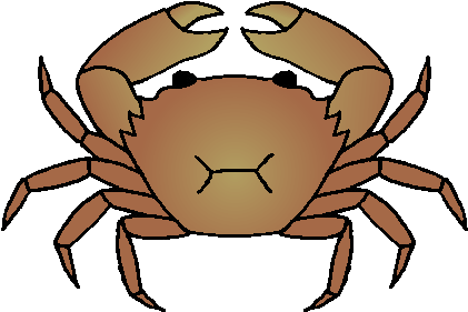 Mud Crab - European Green Crab Clip Art (486x328)