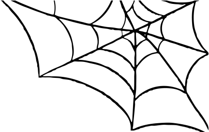 Png Transparent Spider Web Png (480x272)