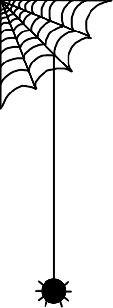 Transparent Spider & Web - Transparent Spider & Web (540x700)