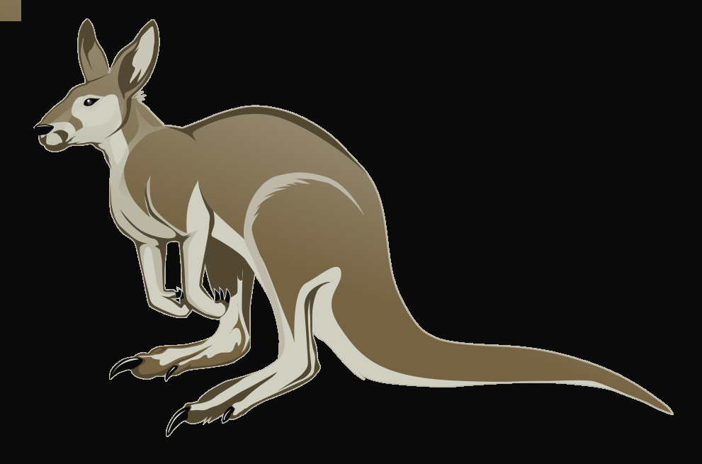Kangaroo Clipart - Clip Art (991x655)
