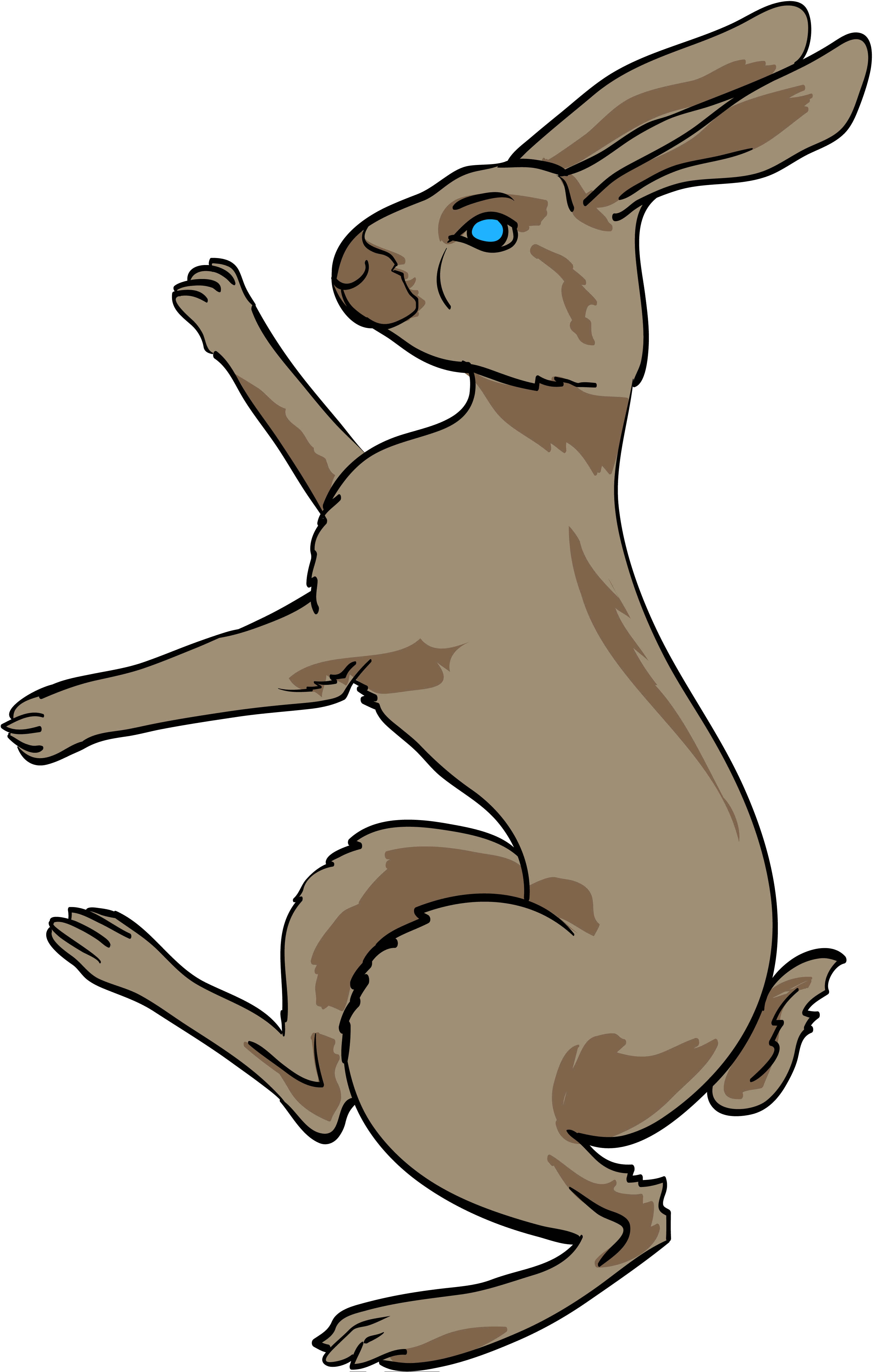 Hare Clipart Heraldic - Bunny Coat Of Arms (3000x4716)