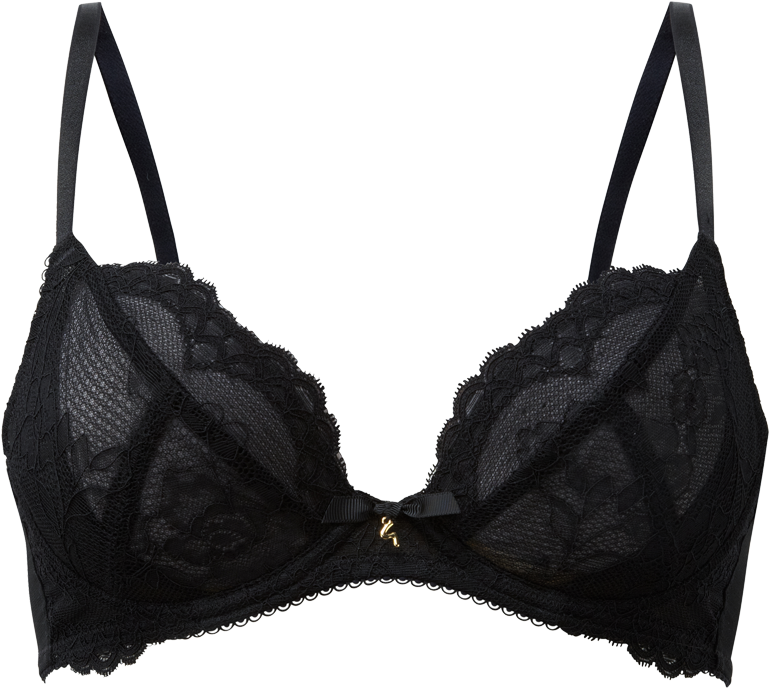 Black Lace Bra Png (800x1000)