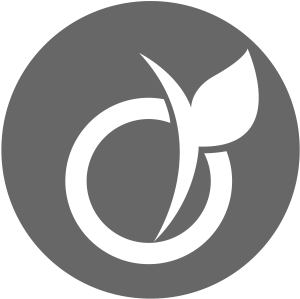 Par Damien Gossard - Icone Viadeo (408x409)