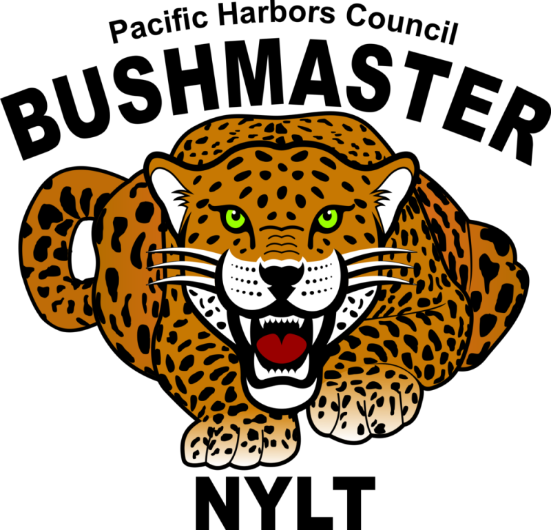 Pin Baby Jaguar Clipart - University Of La Verne (800x769)