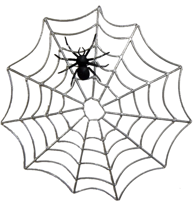 Imagem12 - Spider Web Cartoon Png (640x670)
