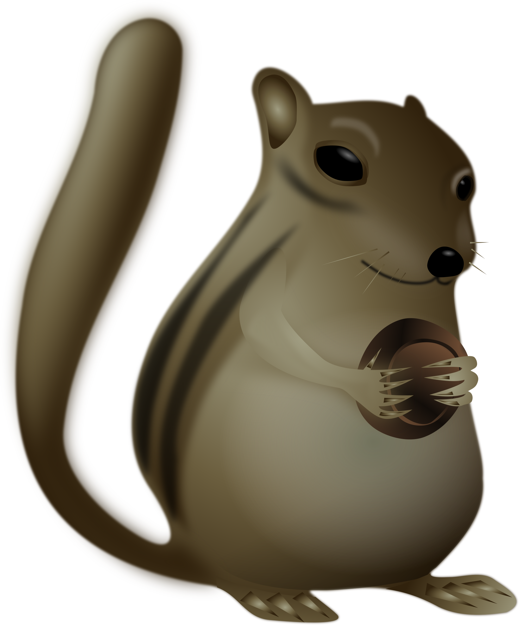 Chipmunk Very Fat - Brown Flying Squirrel Transparent (1993x2400)