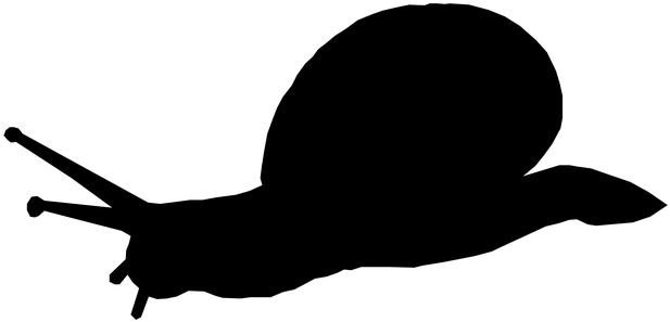 Silhouette, Animal, Snail, Shell, Slow - Silhouette Animal (642x340)