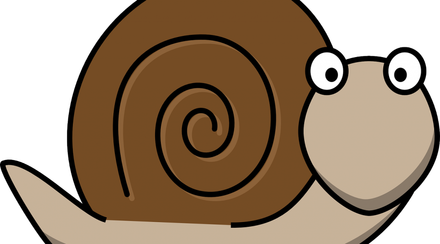 Snail Clipart Snail Mail - Snail Clipart Png (900x500)
