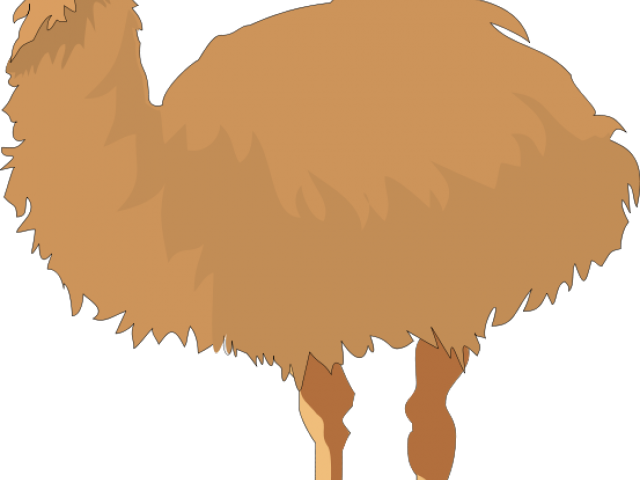 Emu Clipart Ostrich - Emu (640x480)