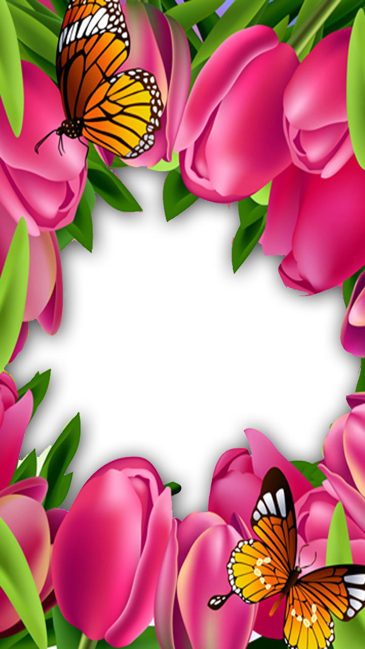 Frame For Photo With Beautiful Pink Roses Psd Png Download - Butterfly Rose Flower (720x1280)