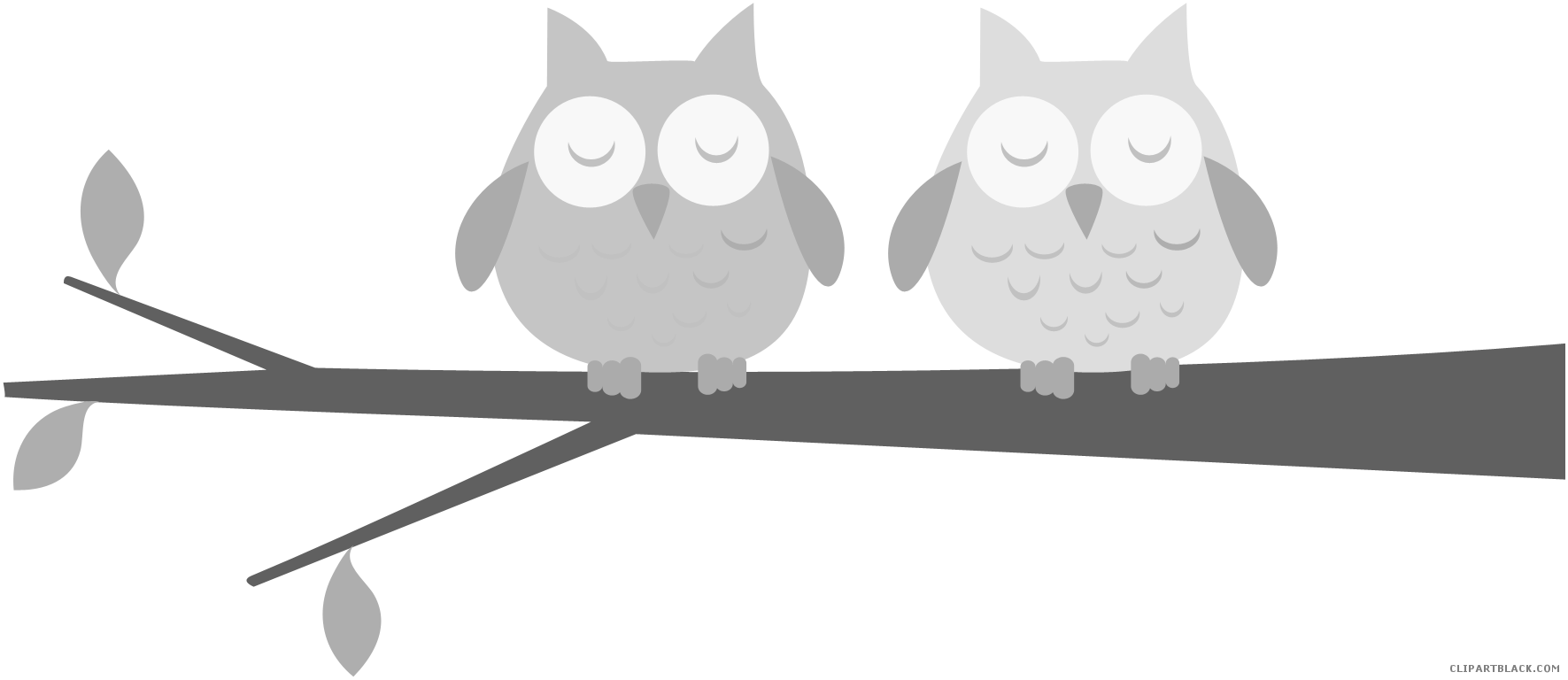Awesome Owl Animal Free Black White Clipart Images - Owl On A Branch Clipart (1771x768)