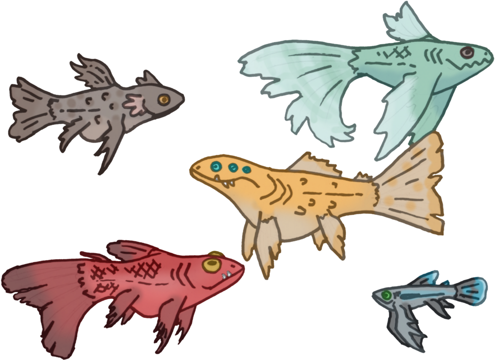 Fish Bowl Monsters Offer To Adopt By Draggon Rider2 - Fish Bowl Monsters Offer To Adopt By Draggon Rider2 (1024x750)