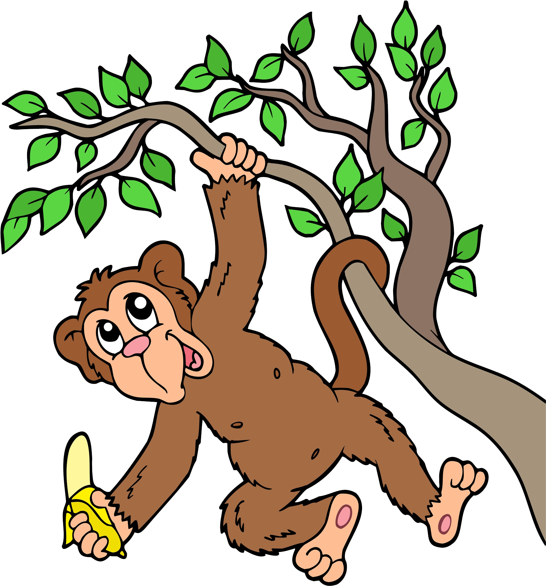 Chimpanzee Monkey Tree Clip Art - Monkey On Tree Drawings (1791x1950)