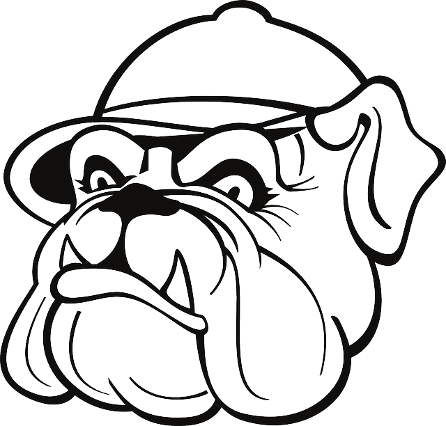 Drawn Bulldog Outline - Bull Dog With A Hat Drawing (640x612)