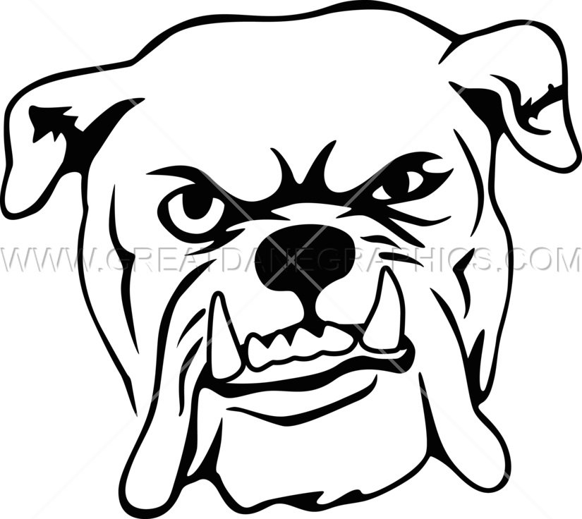 Gray Bulldog - Olde English Bulldogge (825x736)