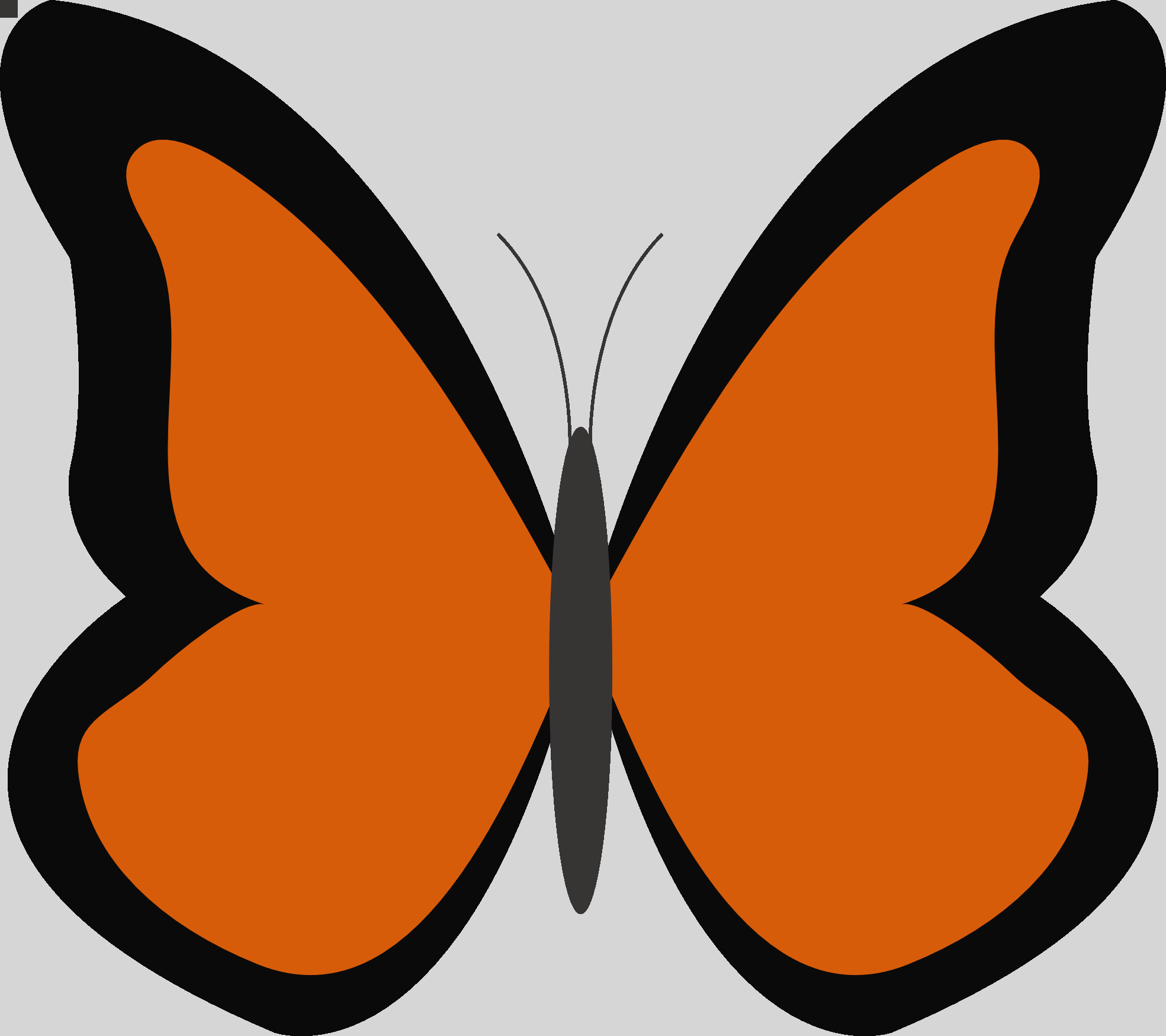 Orange Color Clipart Color Orange Clipart - Butterfly Clip Art Orange (1969x1750)