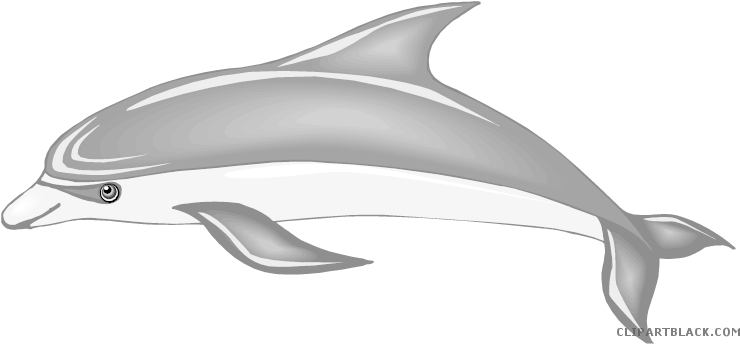Cute Dolphin Animal Free Black White Clipart Images - Dolphin (750x356)