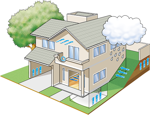 Eccotranspore - House (532x404)