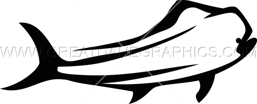 Funky Dolphin - Illustration (825x336)