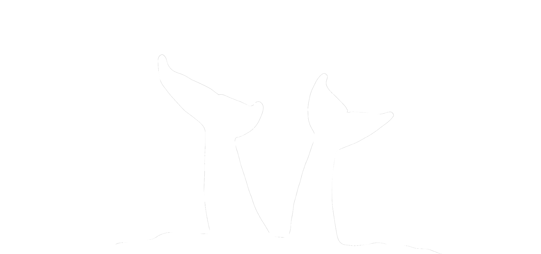 His Bronze Models Are Finely Wrought And Exquisitely - Silhouette (1800x845)