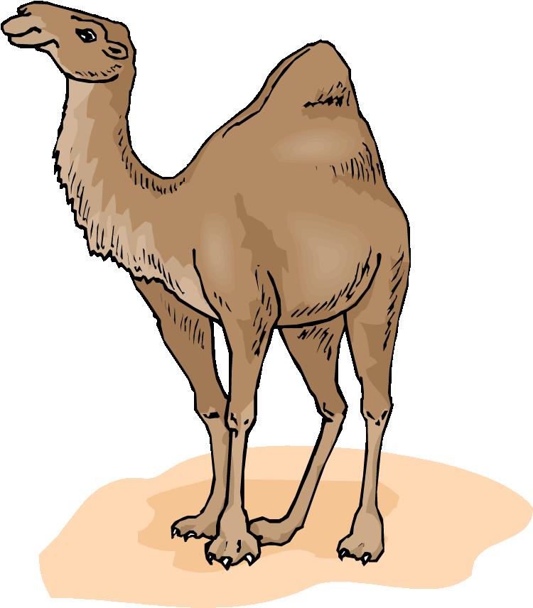 A Baby Camel And His Mom Have A Discussion - Camels In The Desert Clipart (750x883)
