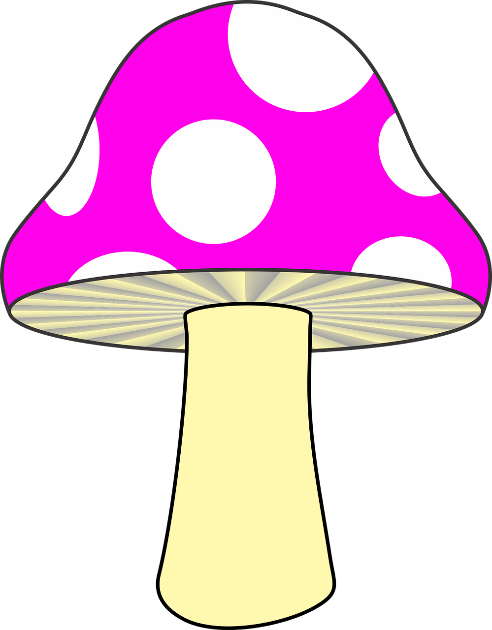 Mushroom Nature Mushroom Pink Png Image - Pink Mush Room (999x1280)