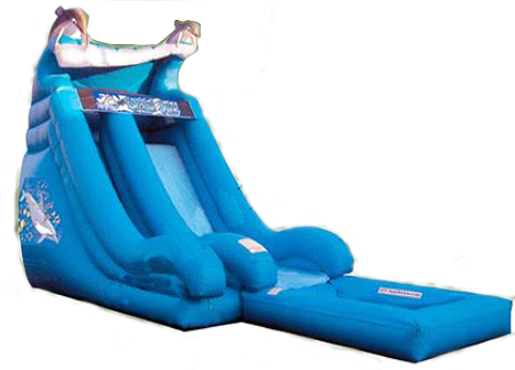 Dolphin Water Slide - Water Slide Rentals Oahu (467x335)