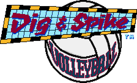 Dig & Spike Volleyball / Volleyball Twin - Dig & Spike Volleyball (448x272)