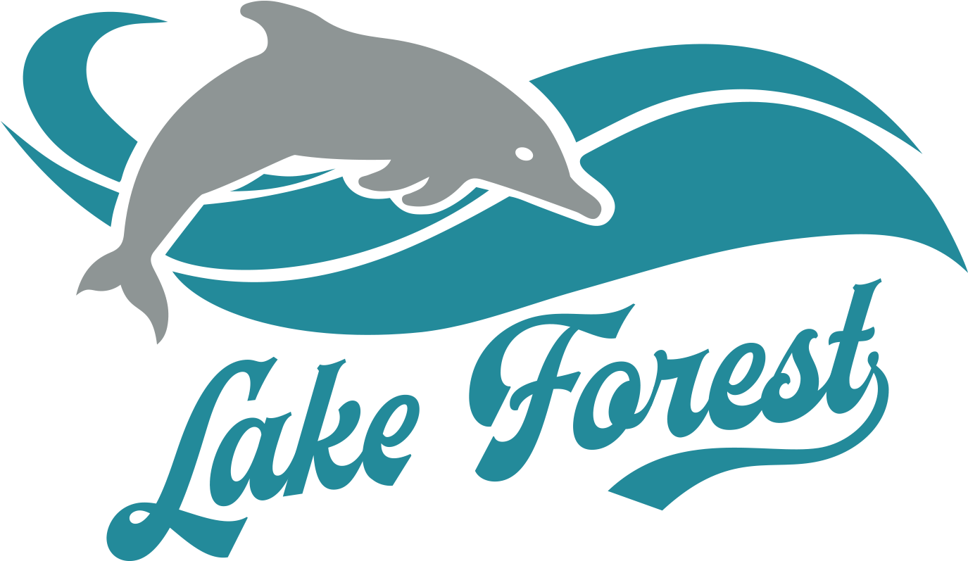 Elementary School - Common Bottlenose Dolphin (1400x945)